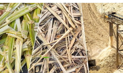 Sugarcane processing
